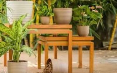 Top 7 New Eco-Friendly and Sustainable Home Décor Trends 2026